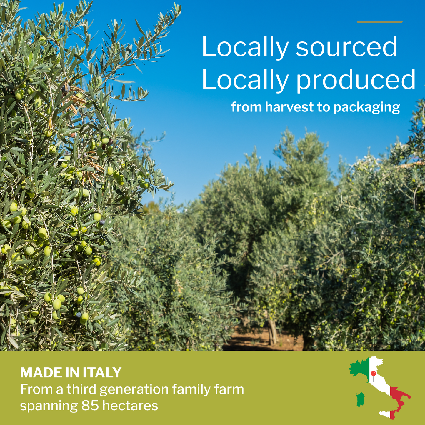 Premium EVOO